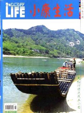 小康生活期刊封面
