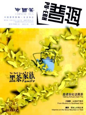 普洱期刊封面