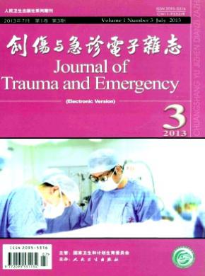 创伤与急诊电子期刊封面