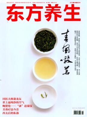 东方养生期刊封面
