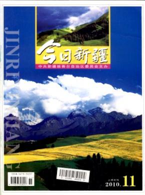 今日新疆期刊封面