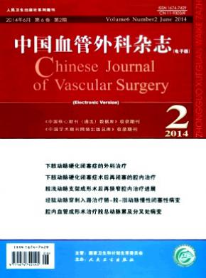 中国血管外科期刊封面