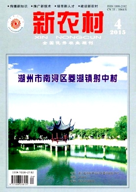 新农村期刊封面