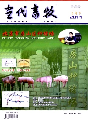 当代畜牧期刊封面