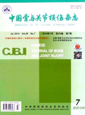 中国骨与关节损伤期刊封面