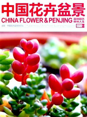 中国花卉盆景期刊封面