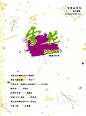雪花期刊封面