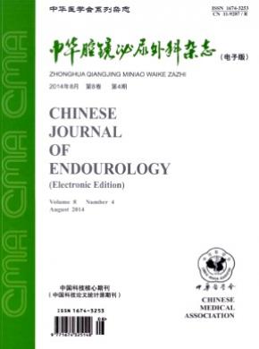 中华腔镜泌尿外科电子版期刊封面