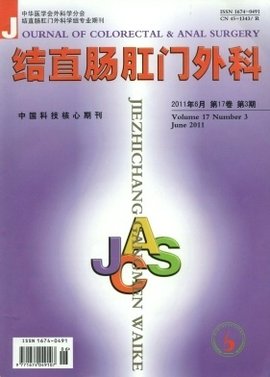 结直肠肛门外科期刊封面