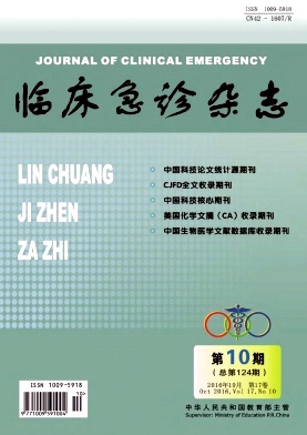 临床急诊期刊封面