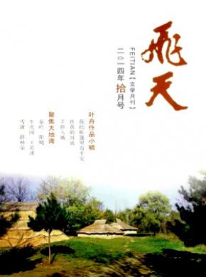 飞天期刊封面