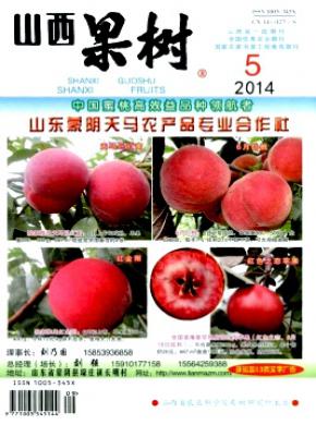 山西果树期刊封面