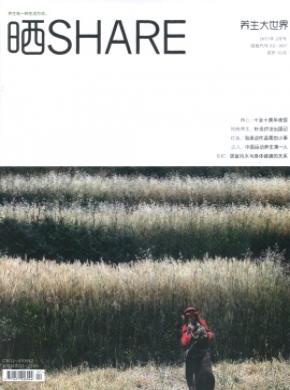 养生大世界期刊封面