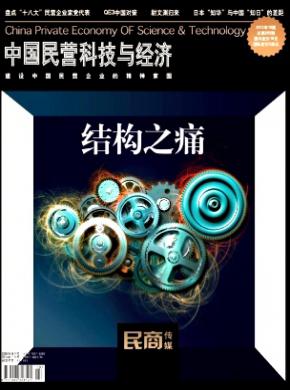 中国民营科技与经济期刊封面
