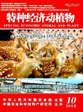 特种经济动植物期刊封面