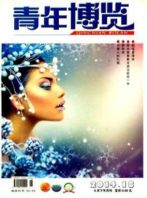 青年博览期刊封面
