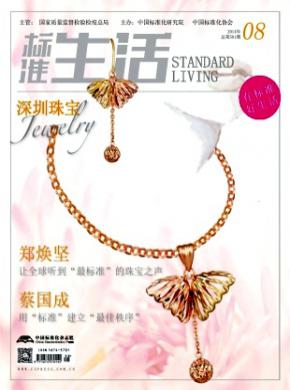 标准生活期刊封面