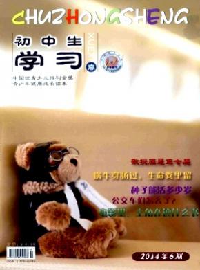 初中生学习期刊封面