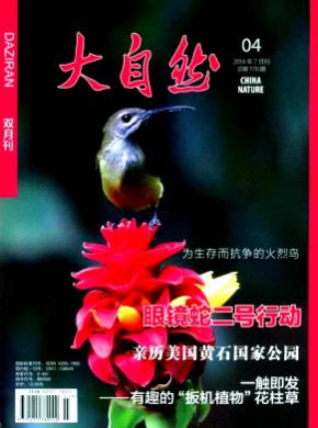 大自然期刊封面