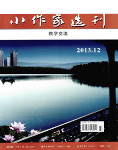 小作家选刊期刊封面