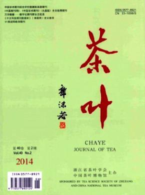 茶叶期刊封面