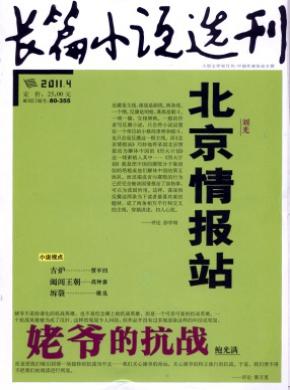 长篇小说选刊期刊封面