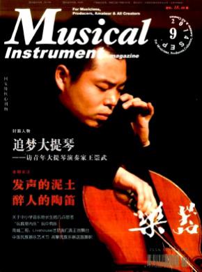 乐器期刊封面