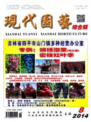 现代园艺期刊封面