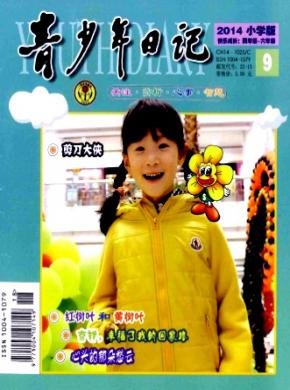 青少年日记期刊封面
