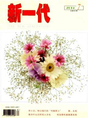 新一代理论版期刊封面