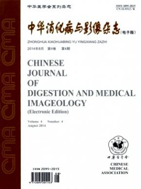 中华消化病与影像电子版期刊封面