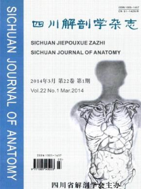 四川解剖学期刊封面