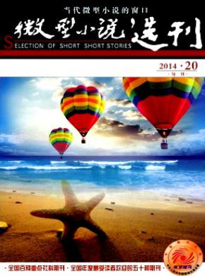 微型小说选刊期刊封面