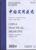 中国实用医药期刊封面