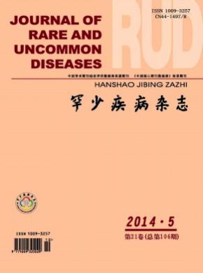 罕少疾病期刊封面