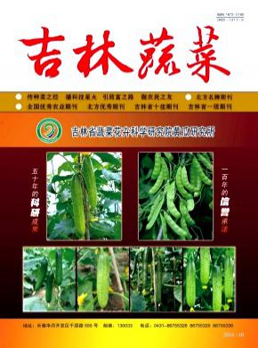吉林蔬菜期刊封面