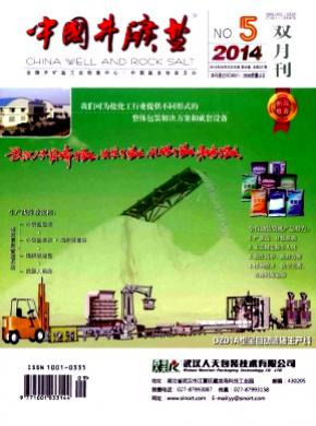 中国井矿盐期刊封面