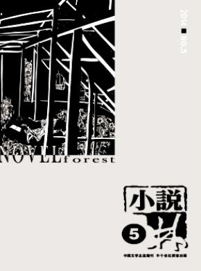 小说林期刊封面