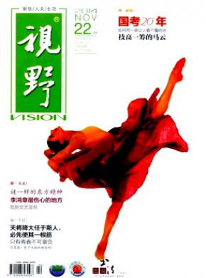 视野期刊封面