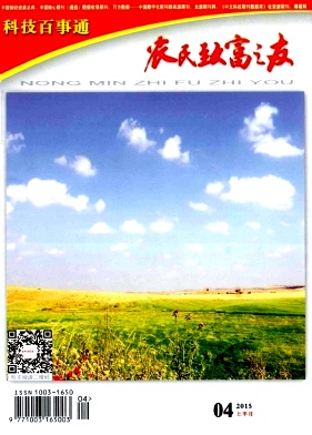 农民致富之友期刊封面