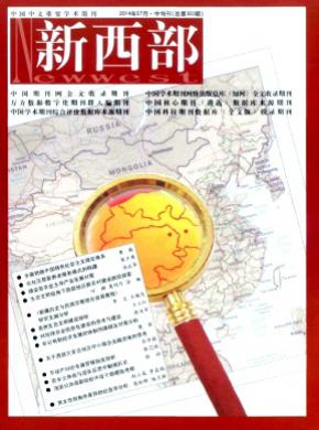 新西部理论版期刊封面