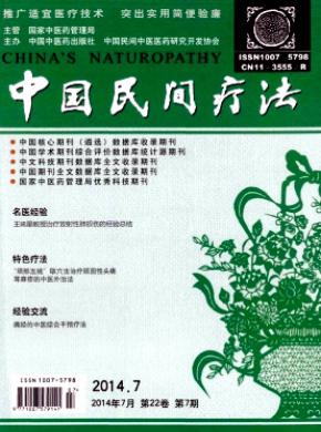 中国民间疗法期刊封面