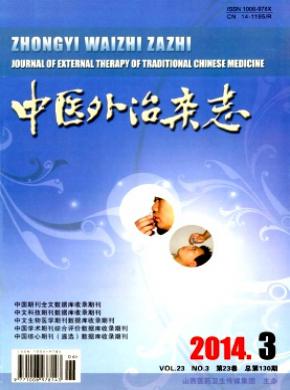中医外治期刊封面