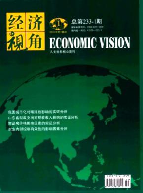 经济视角中旬刊期刊封面